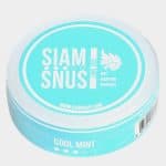 Siamsnus Cool Mint Dry Pouch - refreshing mint cooling in white dry format Laos