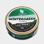 Siamsnus Longcut Wintergreen - classic American wintergreen in authentic longcut format made in Thailand Laos